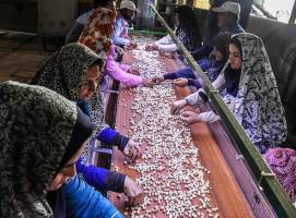 استفاده از ظرفیت تعاونی‌ها در طرح اشتغال روستایی