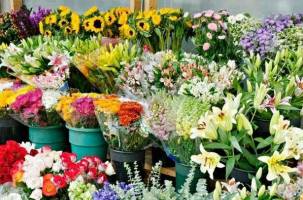  با وجود مازاد تولید، هم قاچاق داریم هم واردات رسمی!