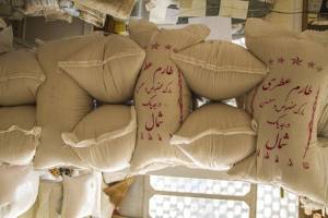 برنج در عمده‌فروشی‌ها ۱۸ درصد ارزان شد