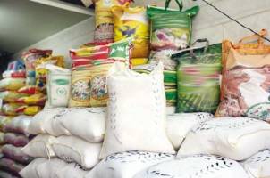 ادامه واردات لاک‌پشتی برنج در فصل ممنوعیت