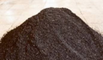 واردات چای بدون کار کارشناسی به تولید داخل ضربه می‌زند
