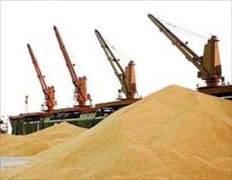 افزایش صادرات گندم به وعده‌ها نرسید