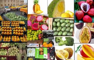 تزریق قطره چکانی میوه های ممنوعه