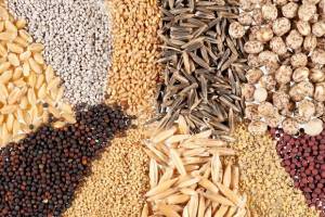 پشت پرده اصرار برای تصویب یک لایحه