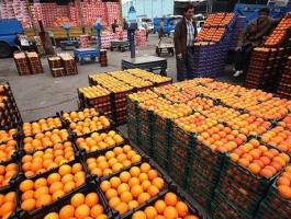 آغاز توزیع میوه‌های دولتی برای عید + قیمت