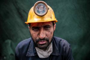  یک سال مصیبت و توجه برای «زغال سنگ»