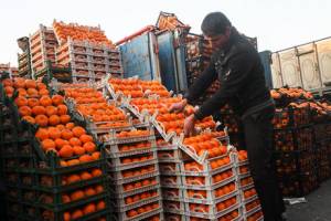 تعادل قیمت میوه در تعطیلات نوروز