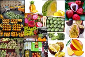 توزیع میوه‌های قاچاق در واحدهای بدون پروانه کسب