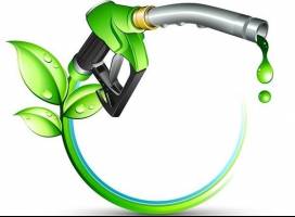 ضرورت الزام استفاده از سوخت زیستی در شهرها برای رفع آلودگی هوا