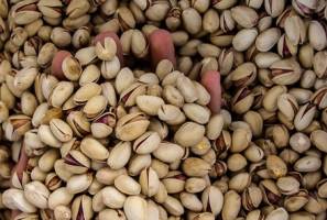 «پسته» چقدر دلار می‌آورد؟