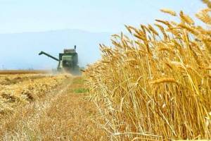 اختصاص ۱۰ هزار میلیارد ریال تسهیلات برای خرید محصولات کشاورزی