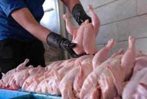 کاهش نرخ مرغ در بازار