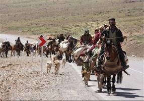 مشکل حادی در زمینه کمبود آب عشایر نداریم