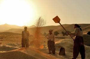 گندمکاران به رهبر انقلاب نامه نوشتند