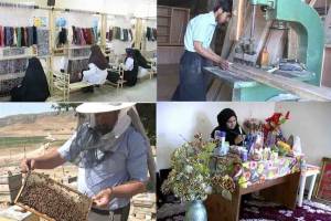 جزئیات اشتغال‌زایی روستایی در استان تهران