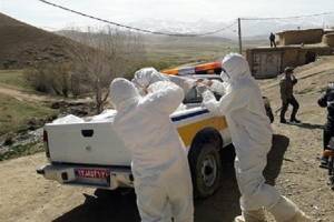 تشکیل کارگروه جلوگیری از بیماری های واگیر حیات وحش و دام اهلی