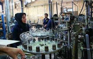 بیش از ۵۰ درصد تعاونی‌ها در بخش تولید فعالند