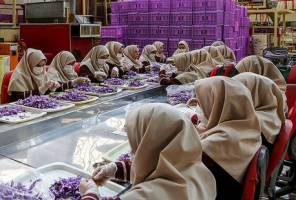 تصویب ۷۰ هزار میلیارد تسهیلات اشتغال روستایی