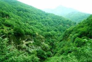 بررسی بودجه ۲۰۰ میلیون دلاری آبخیزداری با نمایندگان مجلس