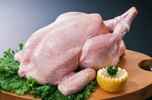 افزایش مجدد نرخ مرغ