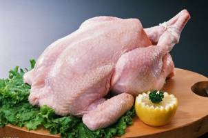 ادامه روند صعودی نرخ مرغ در بازار