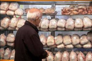 کاهش ۳۰۰ تومانی نرخ مرغ در بازار