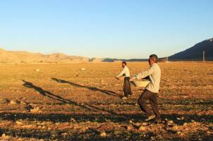 طرح قیمت تضمینی گندم در بورس کالا چه مشکلی را حل خواهد کرد؟