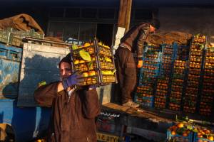 ذخیره سازی ۷۰ هزار تن میوه برای تنظیم بازار شب عید