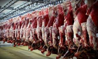 گمرک گوشت‌های وارداتی را زودتر ترخیص کند