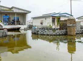 ۵۰ هزار خانه در سیل آسیب دیده‌اند