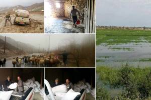 خسارت ۳۸۵۰ میلیاردی سیل به کشاورزی در ۱۲ استان