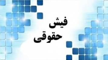 سامانه «شفاف‌سازی حقوق» زمین ماند!