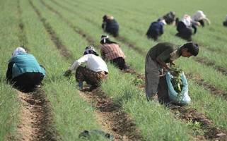 بورس کالا امکان توسعه تجارت محصولات کشاورزی را فراهم می‌کند