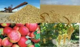 وزارت کشاورزی در تنظیم بازار موفق عمل نکرد