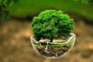 اعمال عوارض برای کالاهای دارای پسماند مخرب محیط زیست