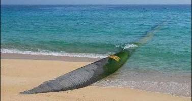 یک قدم تا انتقال آب از عمان به خراسان جنوبی