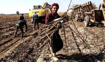 پرداخت به موقع حقوق کارگران هفت‌تپه