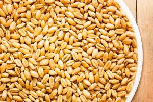 تشکیل فدراسیون بذر، ضرورتی فراملی و بین‌المللی است