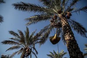 قاچاق سموم بی‌کیفیت باید به صفر برسد