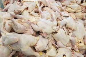 مصرف مرغ ۱۱ درصد افزایش یافت