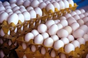 افزایش ٢٠درصدی مصرف تخم‌مرغ