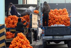 ذخیره ۶۰هزارتن سیب و پرتقال برای شب عید