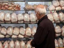 سازمان دامپزشکی«تریاکی بودن مرغ‌ها» را تکذیب کرد 