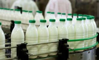 چقدر شیر در گاوداری‌های کشور تولید شد؟