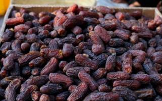 تامین خرمای مورد نیاز برای ماه رمضان