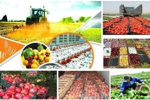 سه چالش کشاورزی ایران درانتظارتدبیر