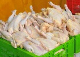 کاهش ۳۰ درصدی مصرف مرغ