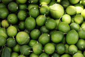 قیمت لیموترش ۲برابر شد