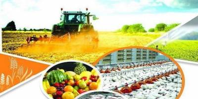 رشد مثبت کشاورزی و منفی صنعت تا پایان پاییز
