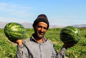 برگشت ۶ واگن هندوانه صادراتی ایران از ترکیه